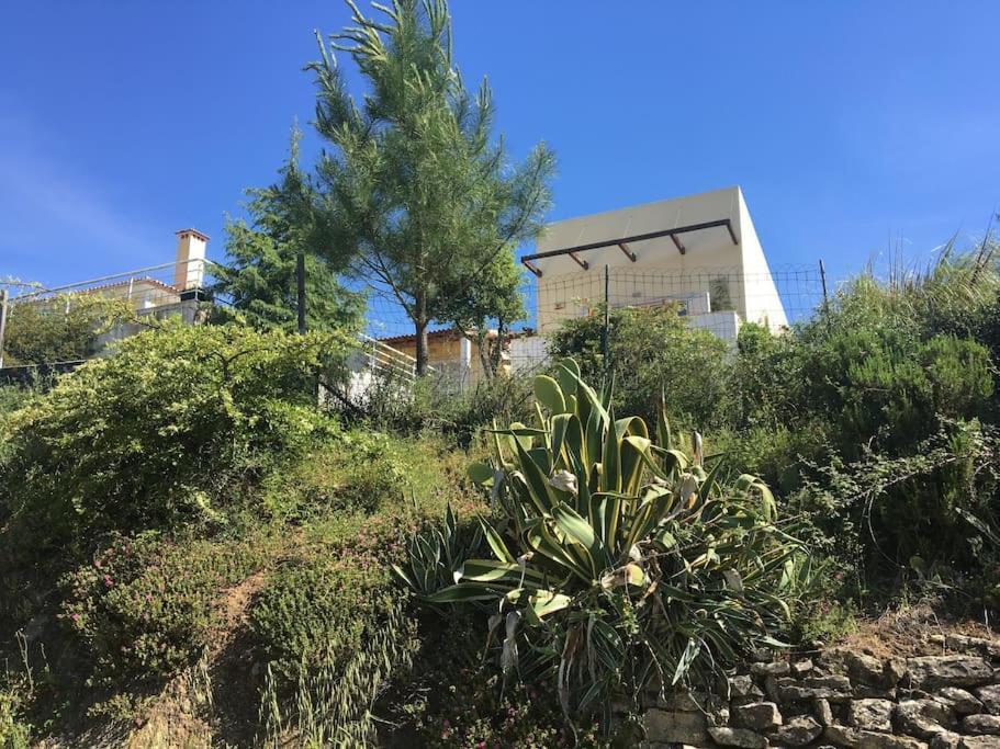 Villa A Casa Da Lua Tomar Exterior foto